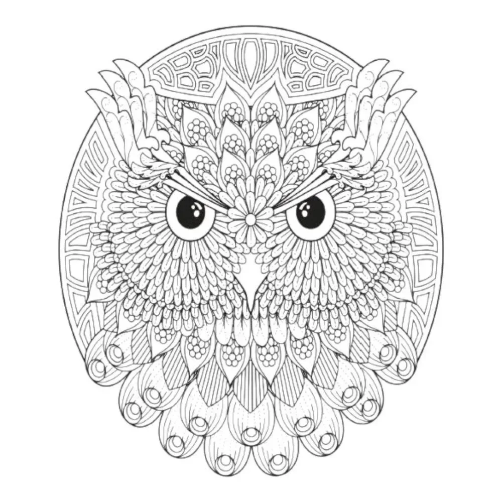 Printout Bird Mandalas Coloring #1 (31 Pages)